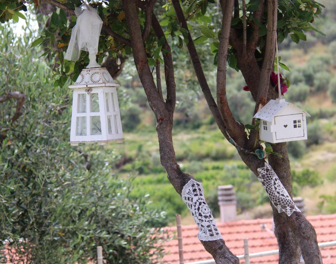 Bed and Breakfast Il Sole Di Poggi Imperia Zewnętrze zdjęcie