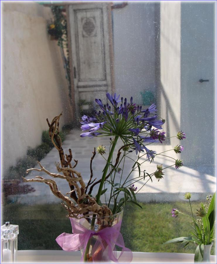 Bed and Breakfast Il Sole Di Poggi Imperia Zewnętrze zdjęcie