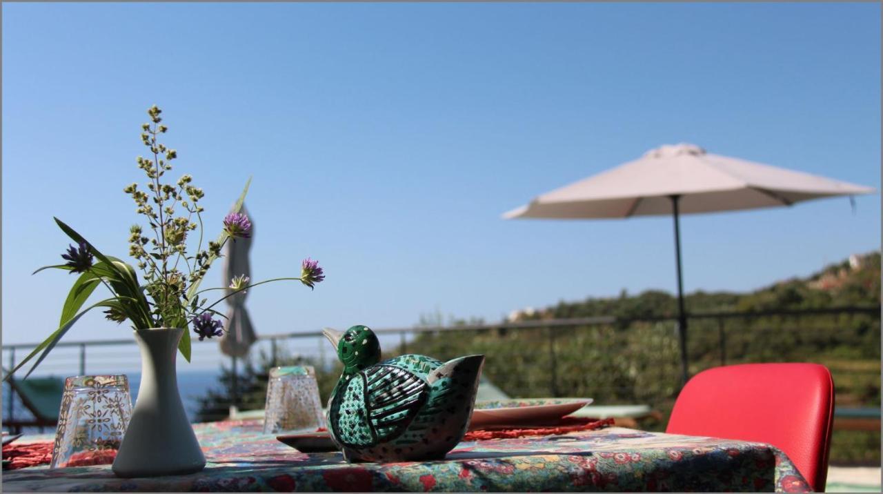 Bed and Breakfast Il Sole Di Poggi Imperia Zewnętrze zdjęcie