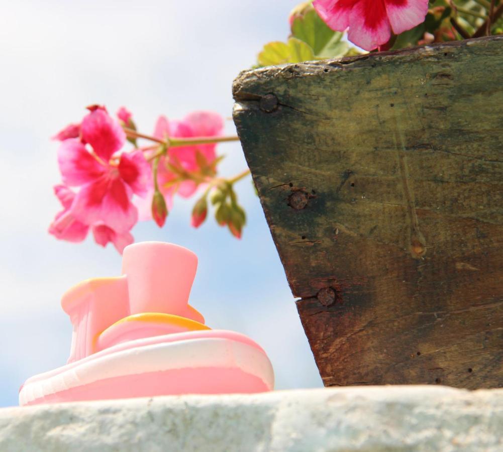 Bed and Breakfast Il Sole Di Poggi Imperia Zewnętrze zdjęcie